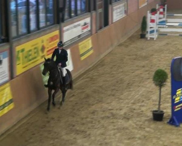 Junior Open 2012