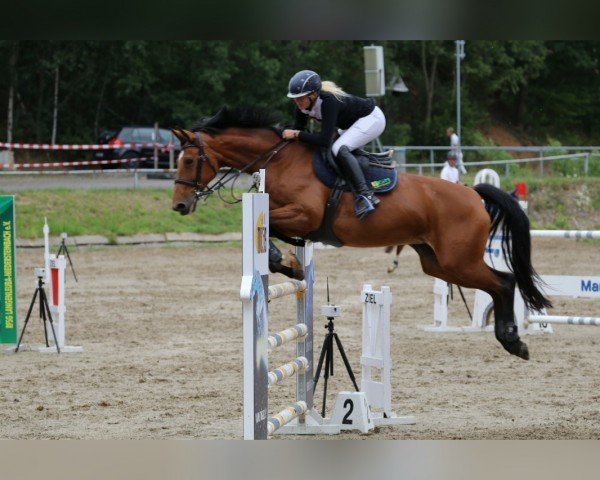 broodmare Fly A Way 4 (German Sport Horse, 2010, from Colestus)