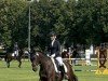 dressage horse San Amour Chéri (Hanoverian, 2017, from San Amour I)