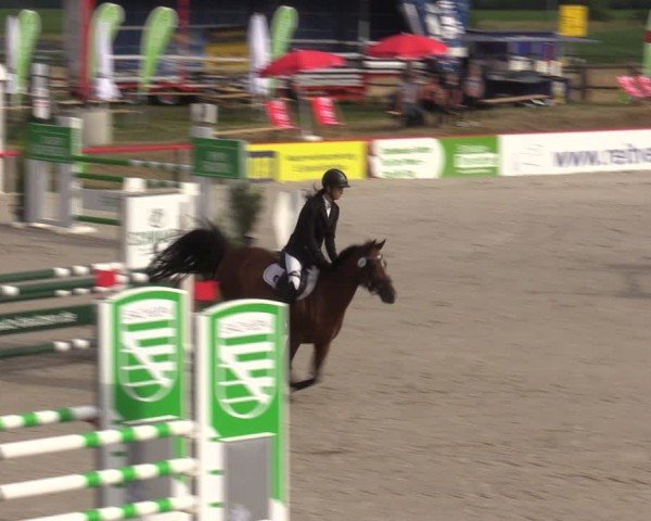 Reitturnier Holschdubrau 2024