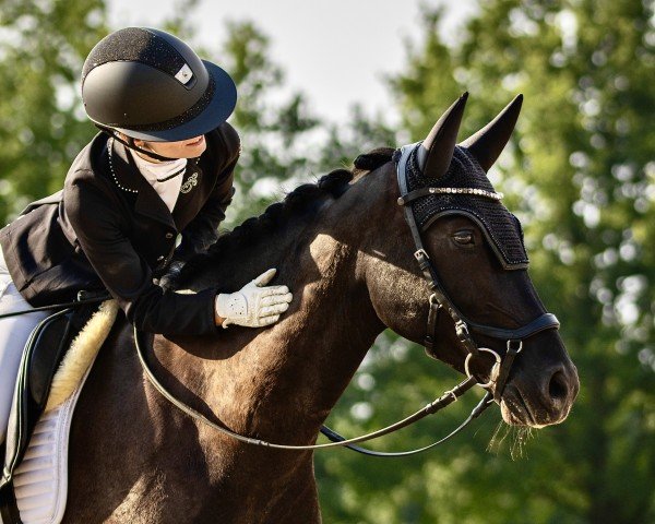 dressage horse Manacor 6 (Westphalian, 2015, from Mc Fly High D)