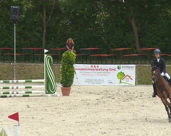 Reitturnier Großbardorf/Ufr. 2024