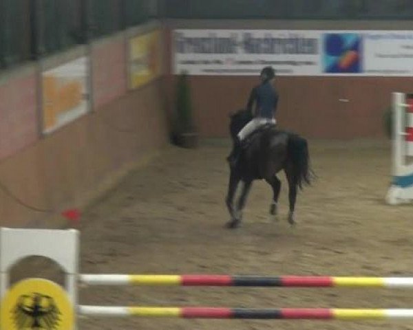 Junior Open 2012