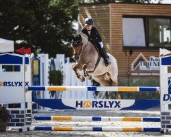 jumper Del Mia (German Riding Pony, 2018, from Del Piero 25)