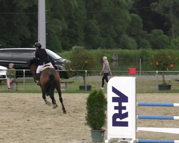Reitturnier Bad Liebenstein/Sorga 2024