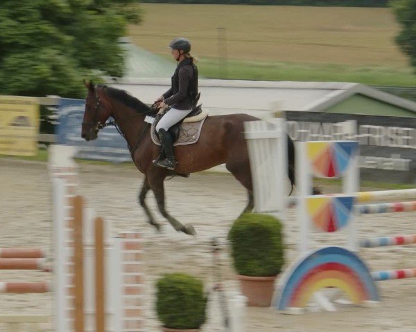 Reitturnier Kalenborn Hegehof 2024
