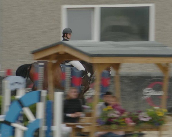 Reitturnier Kalenborn Hegehof 2024