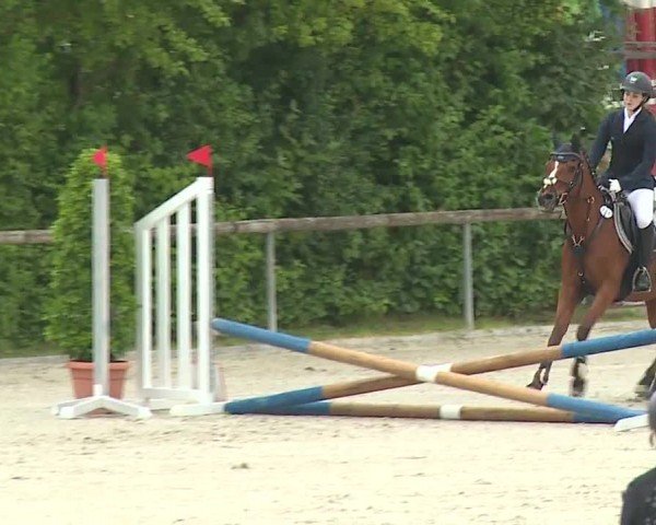 Reitturnier Großbardorf/Ufr. 2024