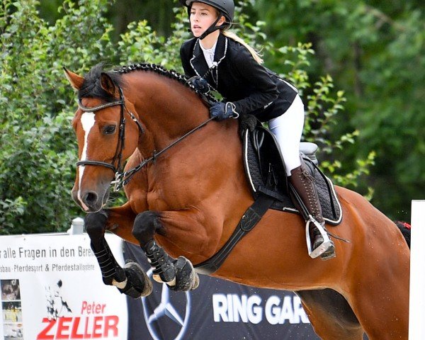 jumper Liberty Jolie (KWPN (Royal Dutch Sporthorse), 2016)