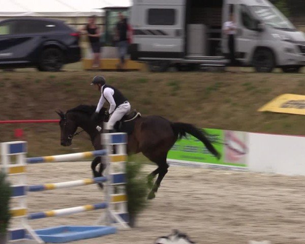 Reitturnier Holschdubrau 2024