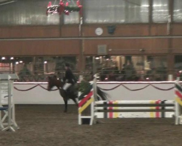 Hallen-Reit- und Springturnier des RV Suedlohn-Oeding für Ponys und Großpferde 2012