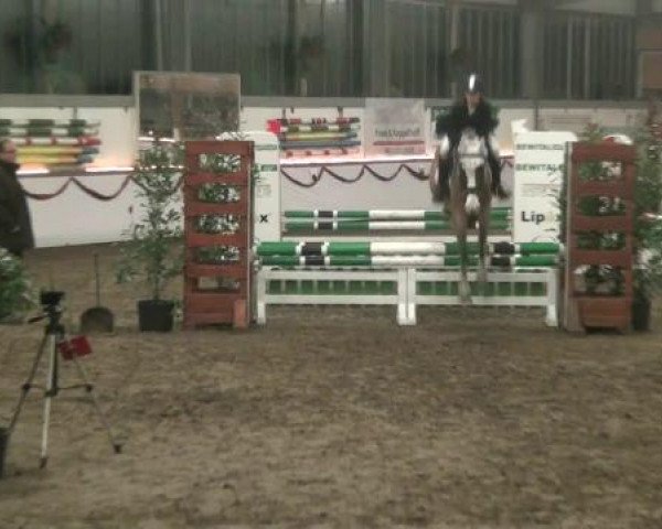 Hallen-Reit- und Springturnier des RV Suedlohn-Oeding für Ponys und Großpferde 2012