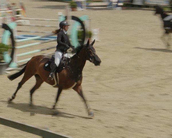 Reitturnier Kalenborn Hegehof 2024