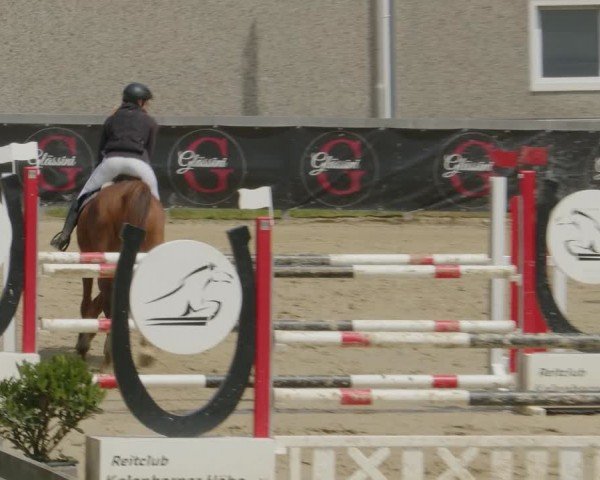 Reitturnier Kalenborn Hegehof 2024