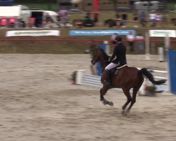 Reitturnier Holschdubrau 2024