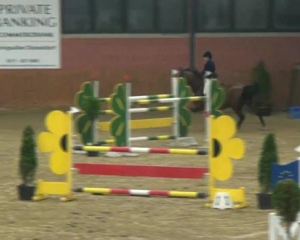Junior Open 2012