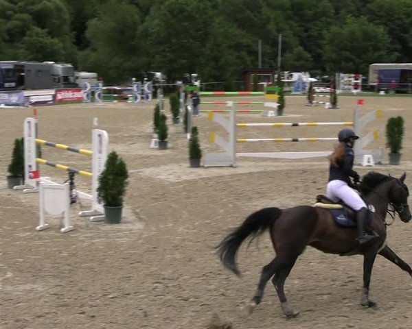 Reitturnier Bad Liebenstein/Sorga 2024