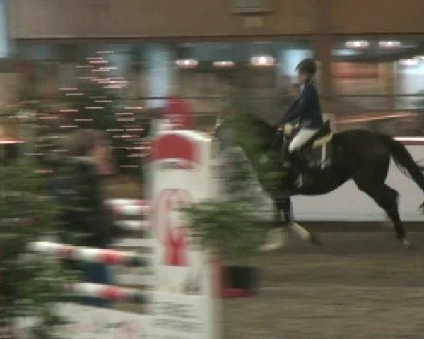 Hallen-Reit- und Springturnier des RV Suedlohn-Oeding für Ponys und Großpferde 2012