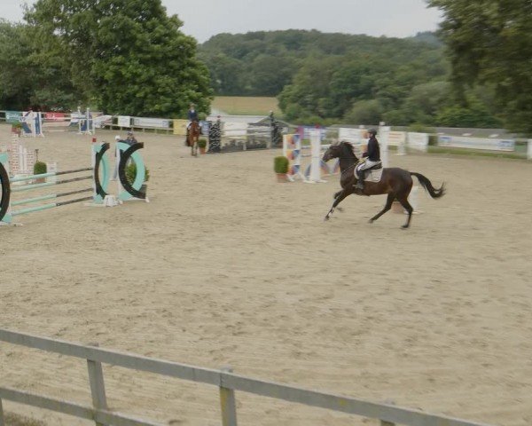 Reitturnier Kalenborn Hegehof 2024