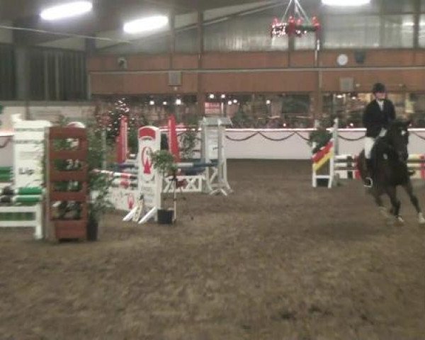 Hallen-Reit- und Springturnier des RV Suedlohn-Oeding für Ponys und Großpferde 2012