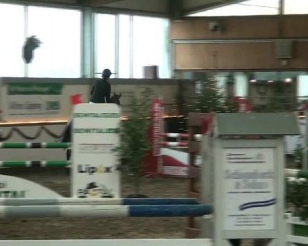 Hallen-Reit- und Springturnier des RV Suedlohn-Oeding für Ponys und Großpferde 2012