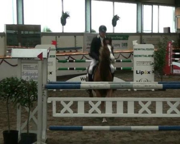 Hallen-Reit- und Springturnier des RV Suedlohn-Oeding für Ponys und Großpferde 2012