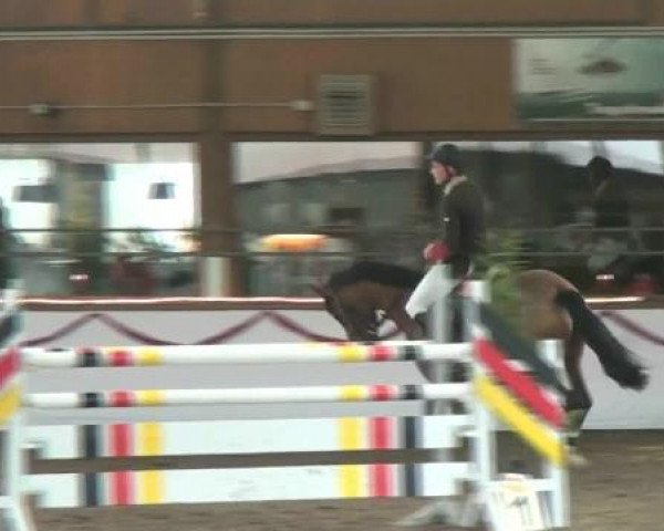 Hallen-Reit- und Springturnier des RV Suedlohn-Oeding für Ponys und Großpferde 2012