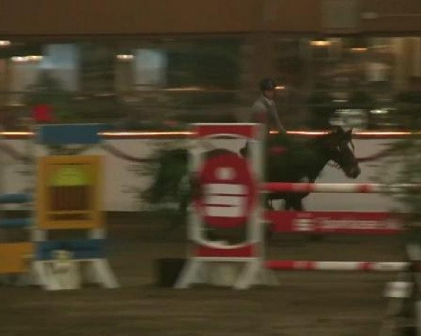 Hallen-Reit- und Springturnier des RV Suedlohn-Oeding für Ponys und Großpferde 2012