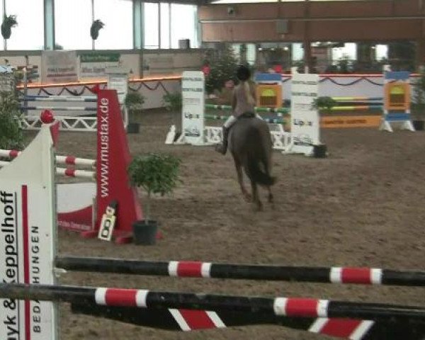 Hallen-Reit- und Springturnier des RV Suedlohn-Oeding für Ponys und Großpferde 2012