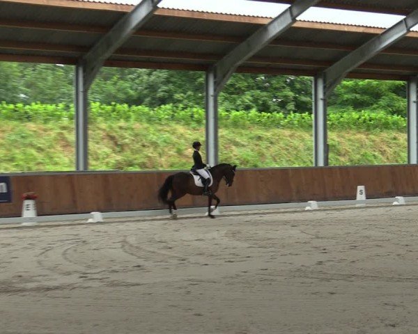 Reitturnier Langenfeld 2024