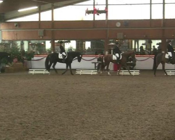 Hallen-Reit- und Springturnier des RV Suedlohn-Oeding für Ponys und Großpferde 2012