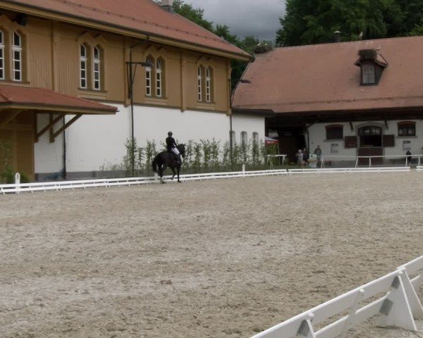 Reitturnier Avenches 2024