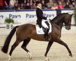 stallion Ro-Lex (KWPN (Royal Dutch Sporthorse), 1998, from Montecristo)