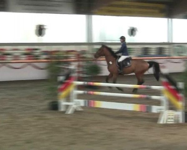 Hallen-Reit- und Springturnier des RV Suedlohn-Oeding für Ponys und Großpferde 2012