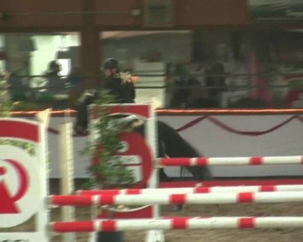Hallen-Reit- und Springturnier des RV Suedlohn-Oeding für Ponys und Großpferde 2012