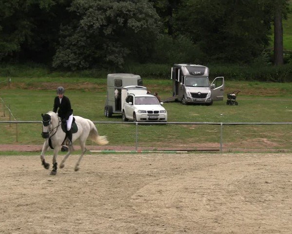 Reitturnier Bad Liebenstein/Sorga 2024