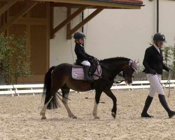 Reitturnier Avenches 2024