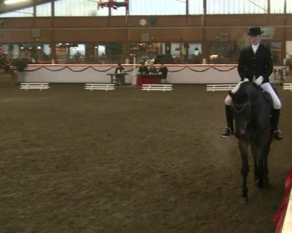 Hallen-Reit- und Springturnier des RV Suedlohn-Oeding für Ponys und Großpferde 2012