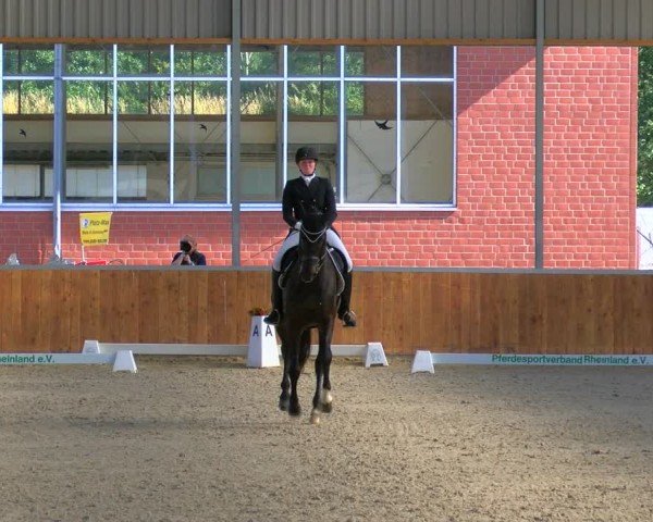 Reitturnier Langenfeld 2024