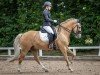 dressage horse Charles Dance (German Riding Pony, 2015, from Cassini)