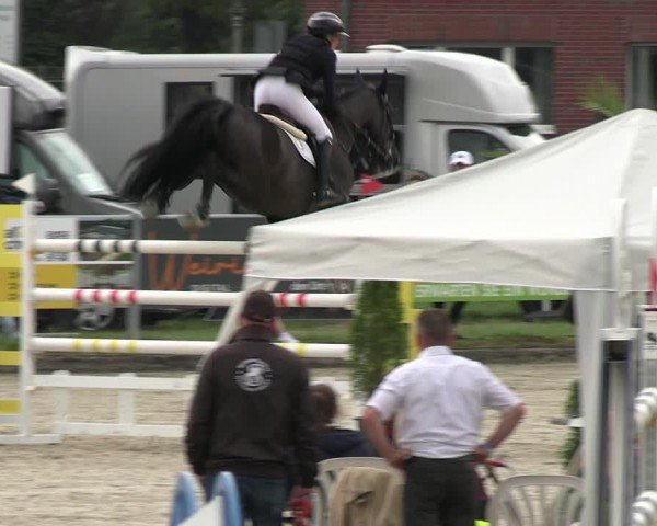 Reitturnier Langenfeld 2024