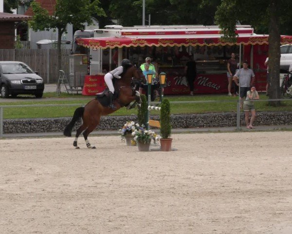 Reitturnier Ingolstadt-Hagau/Obb. 2024