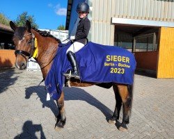 dressage horse Sir Maximus (unknown, 2003)