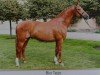 dressage horse Rio Tejo (German Sport Horse, 2005, from Ra 1)