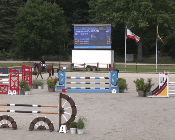 Reitturnier Luhmühlen 2024