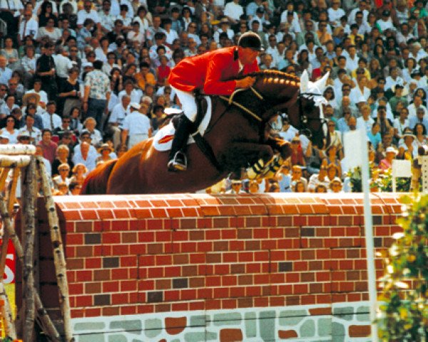 horse Cordalme Z (Oldenburg, 1986, from Cor de la Bryère)