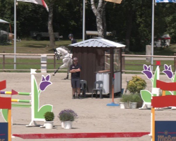 Reitturnier Luhmühlen 2024