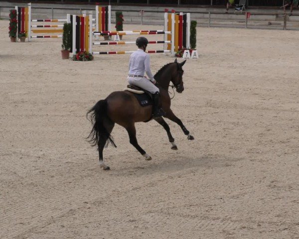 Reitturnier Ingolstadt-Hagau/Obb. 2024