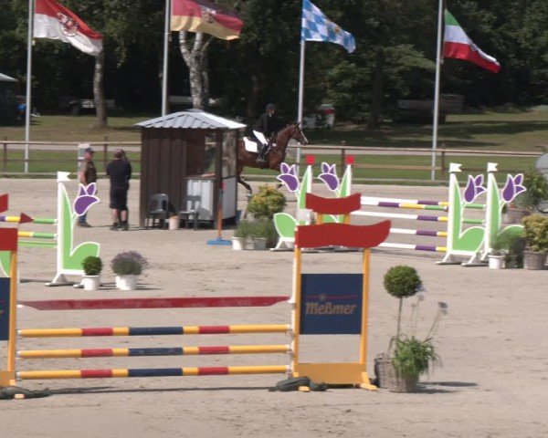 Reitturnier Luhmühlen 2024