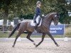 dressage horse Nouvelle Vie (Westphalian, 2016, from Negro)